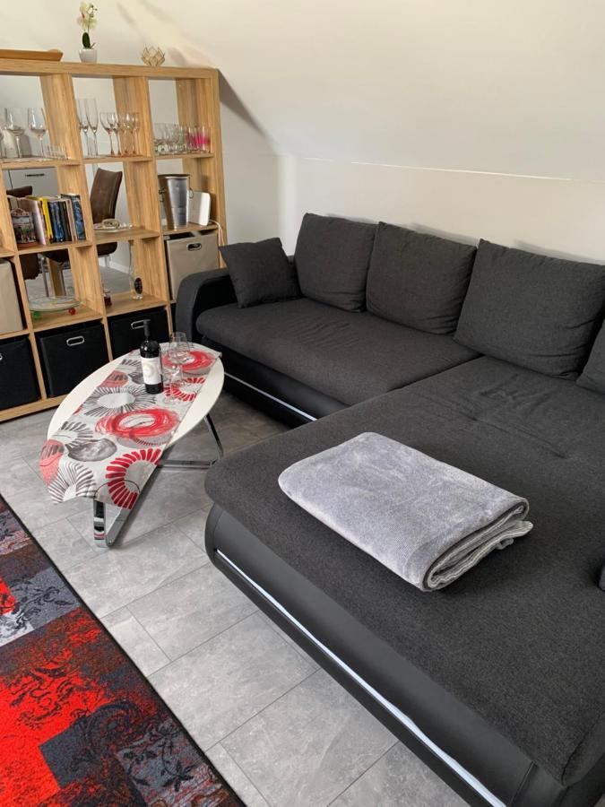 Ferienwohnung Sunny - Moderne Ferienwohnung Im Gruenen In Saarbruecken-West Ngoại thất bức ảnh